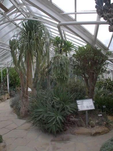 Botanische tuinen Münster (Duitsland)